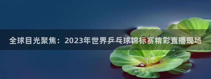 说球帝nba直播在线观看免费app：全球目光聚焦：2023年世界乒乓球锦标赛精彩直播现场