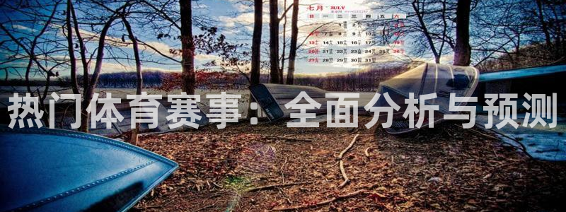 篮球直播说球帝五大联赛：热门体育赛事：全面分析与预测