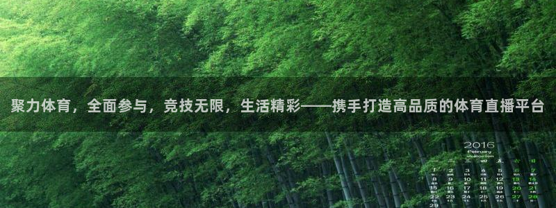 说球帝nba版官网入口：聚力体育，全面参与，竞技无限，生活精彩——携手打造高品质的体育直播平台