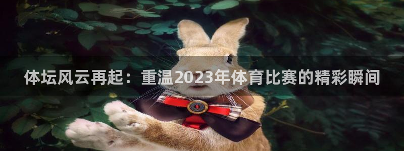 说球帝湖人：体坛风云再起：重温2023年体育比赛的精彩瞬间