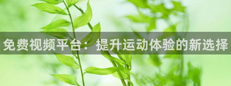 说球帝直播官网：免费视频平台：提升运动体验的新选择