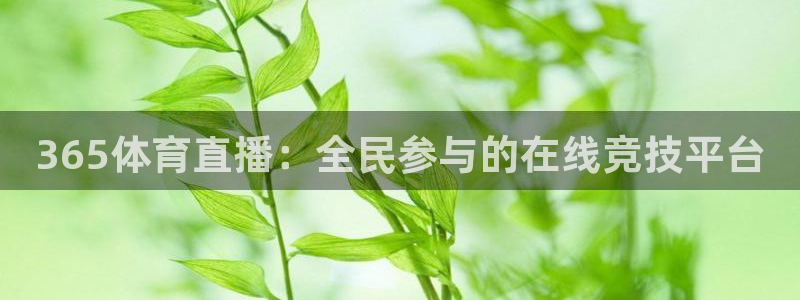 说球帝五大联赛：365体育直播：全民参与的在线竞技平台