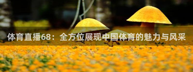 说球帝平台：体育直播68：全方位展现中国体育的魅力与风采