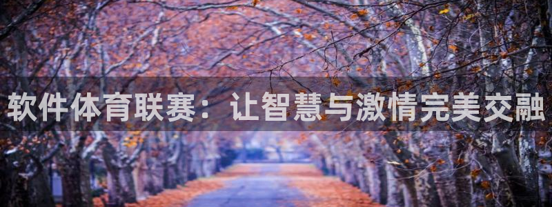 nba直播说球帝冠希：软件体育联赛：让智慧与激情完美交融