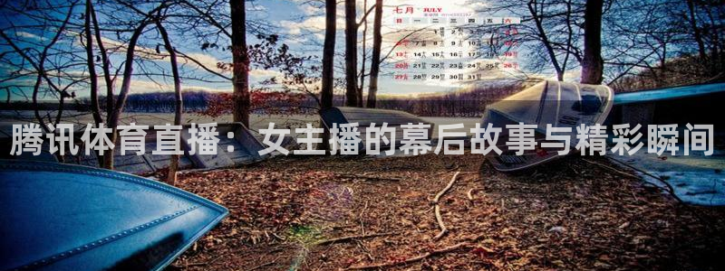 nba直播说球帝在线观看免费：腾讯体育直播：女主播的幕后故事与精彩瞬间