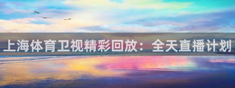 说球帝安卓版下载