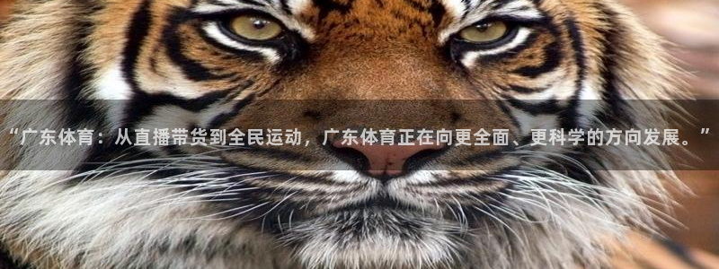 nba说球帝直播在线观看高清
