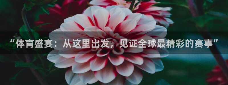 说球帝nba直播在线观看免费回放