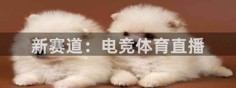 说球帝体育足球篮球五大联赛24小时实时直播：新赛道：电竞体育直播
