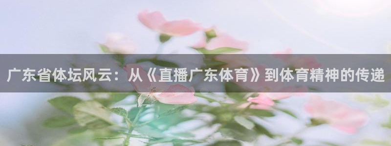 说球帝直播：广东省体坛风云：从《直播广东体育》到体育精神的传递